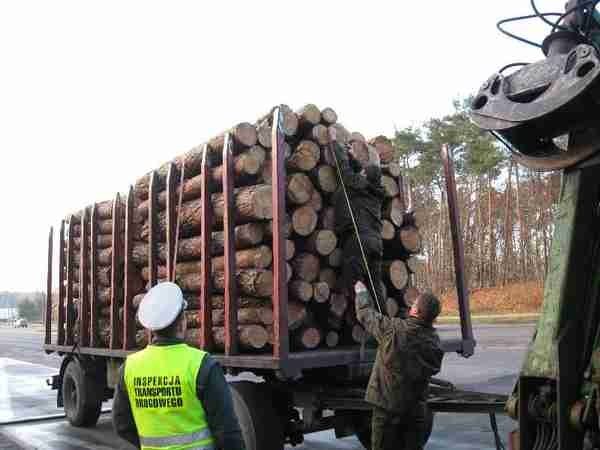 WITD: Zaniżona w dokumencie przewozowym ilość drewna