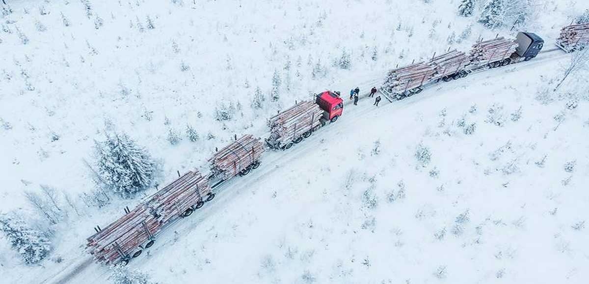 Secjalistyczne zestawy ciężarowe do transportu drewna