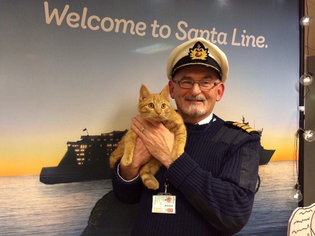 Stena Line szuka właściciela kota zaginionego na statku