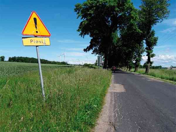 NIK ujawnia nieprawidłowości w oznakowaniu dróg