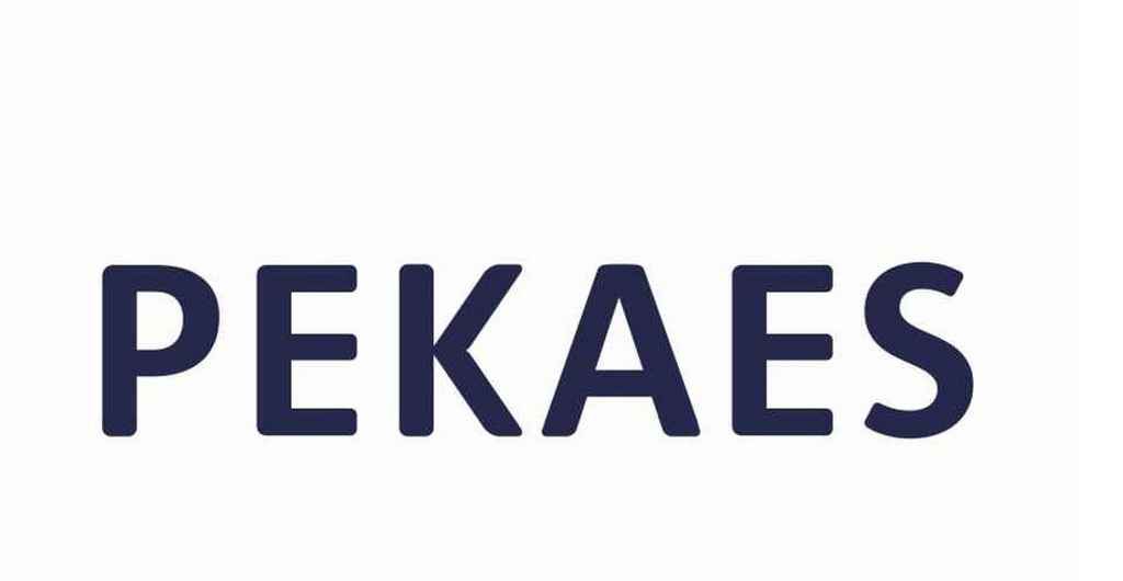 Logo PEKAES